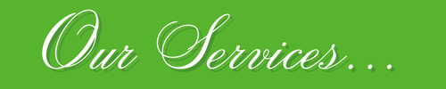 Braford our services